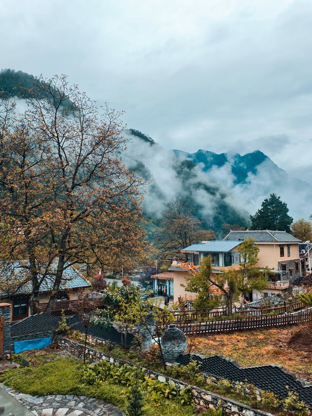 川西色龍村｜世外桃源般嘅露營體驗