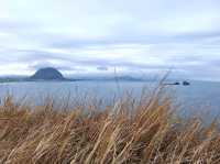 Amazing weekend getaway to Jeju Island, South Korea! 