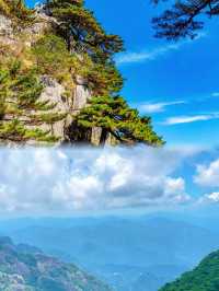 黃山雲海現場實錄
