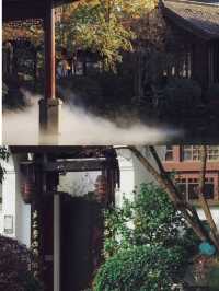 泛舟西溪，邂逅杭州最詩意嘅濕地秘境