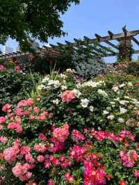 東京山下海濱公園交通攻略：探索海濱美景的便捷指南