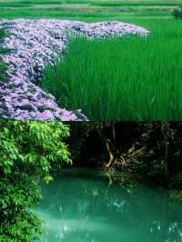 住進山水 | 崇左明仕田園裡的這家酒店是理想的度假居所