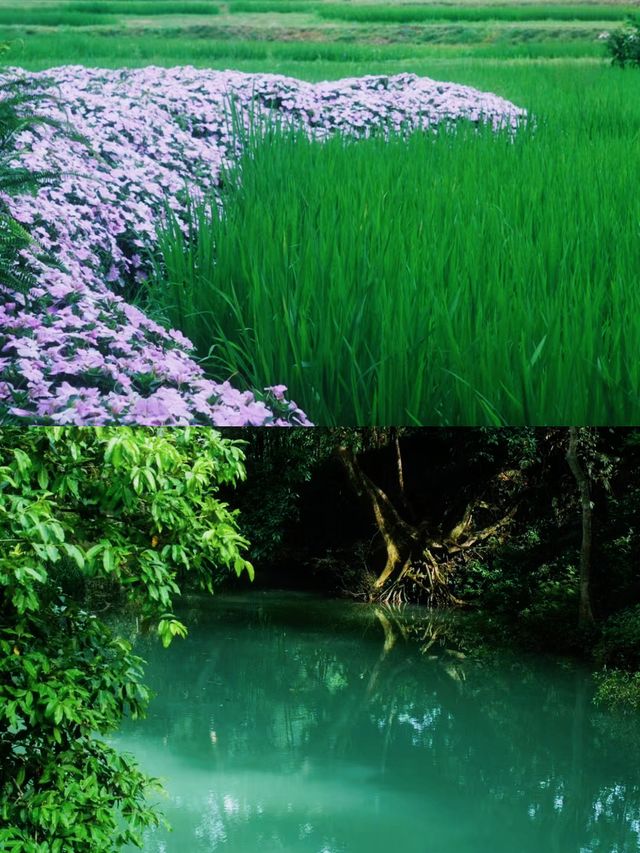 住進山水 | 崇左明仕田園裡的這家酒店是理想的度假居所