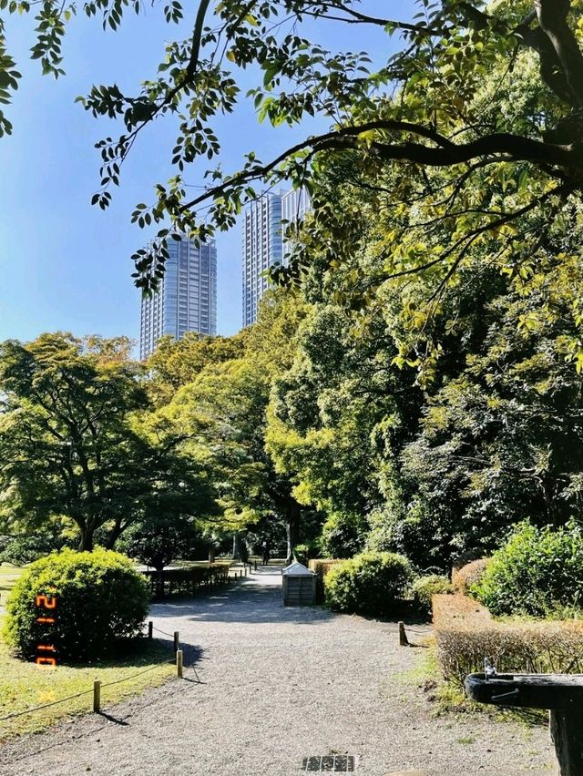 🇯🇵新橋出發｜東京庭園小道散步攻略 🌸 
