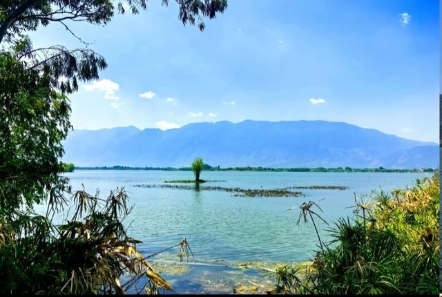去洱海觀賞不一樣的風景