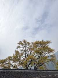 邂逅武功山唐之行館，開啟心靈歸野之旅