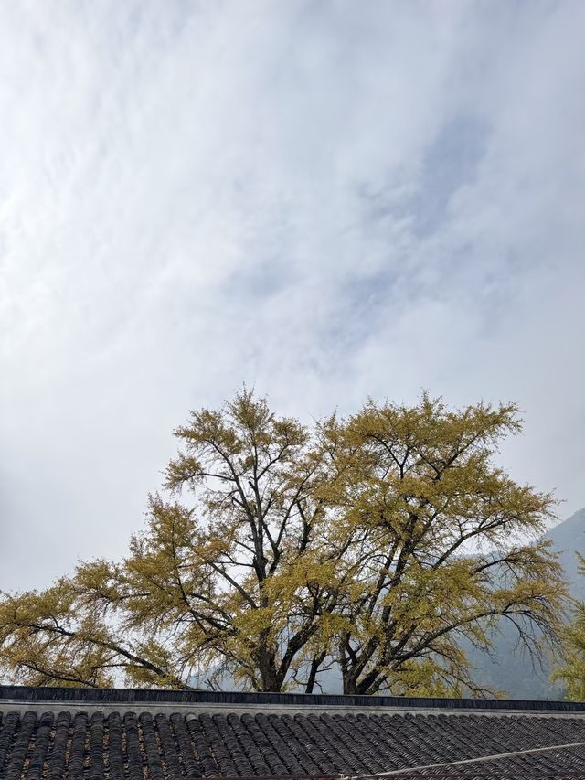 邂逅武功山唐之行館，開啟心靈歸野之旅