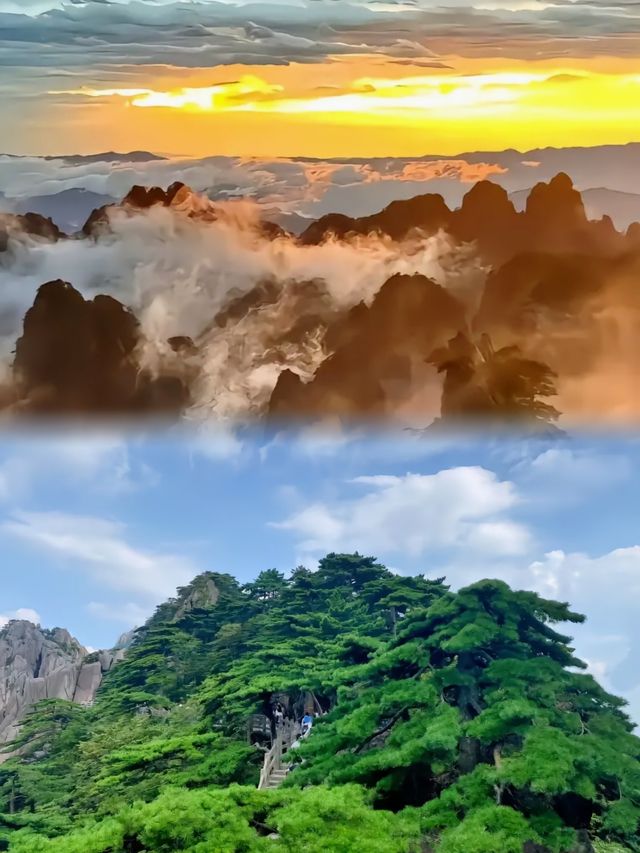 04年女大學生分享自己黃山一日遊