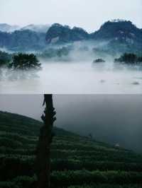 雨季漫遊指南！一鍵解鎖福建賞雨寶藏地~