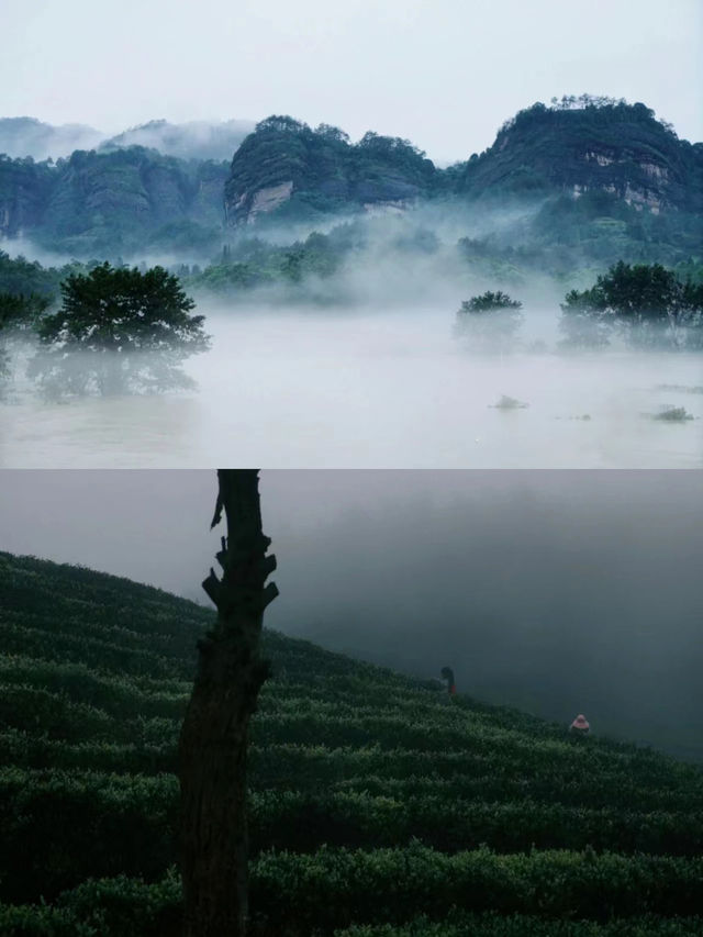 雨季漫遊指南！一鍵解鎖福建賞雨寶藏地~