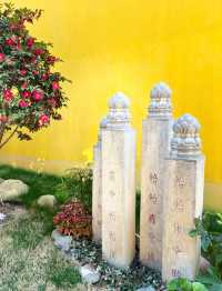 一笑一沉浮，一休一來去，一念一世界，一夢一輪迴