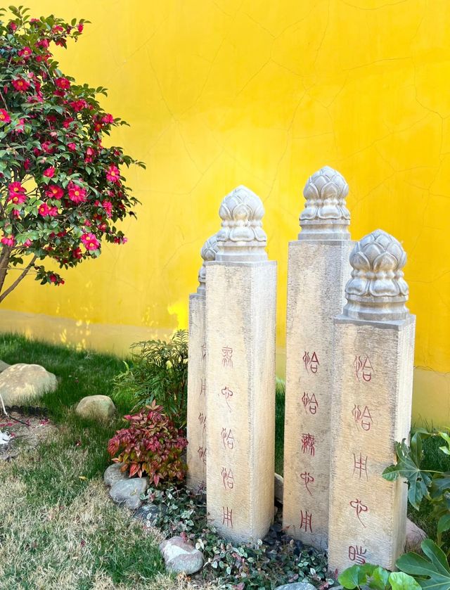 一笑一沉浮，一休一來去，一念一世界，一夢一輪迴