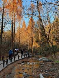 Hiking in botanic garden Beijing 