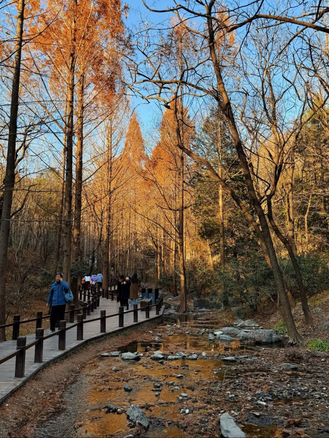 Hiking in botanic garden Beijing 