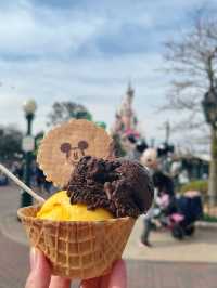 Experience the Magic of Disneyland Paris