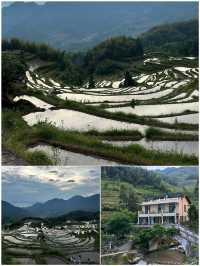 麗水受罪之旅已結束，要嚟嘅姊妹聽勸
