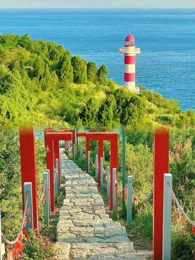 在青島，將夏天裝進啤酒杯