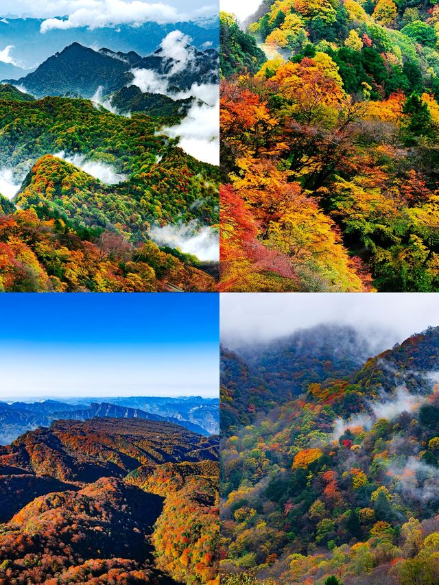 高鐵直達適合小住三日嘅小眾城市