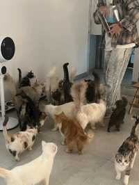 搵唔到答案嘅話  就推開世界嘅門
