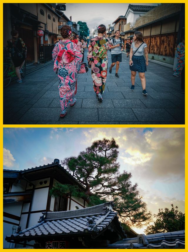 京都奈良3日超詳細行程攝影攻略