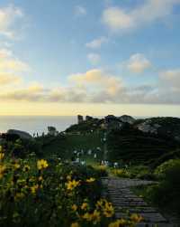 南麂島「人生海海，總要為一抹藍心動」