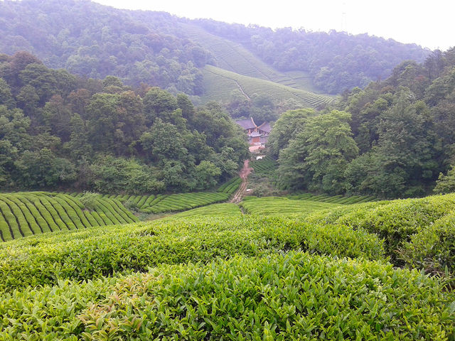 徒步美女山，打卡寧波小天壇
