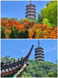 鎮江焦山風景區漫步在景區欣賞自然享受寧靜生活