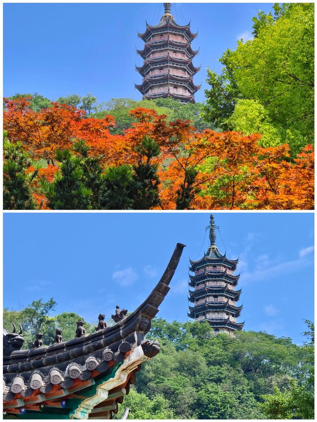 鎮江焦山風景區漫步在景區欣賞自然享受寧靜生活