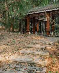 南寧狮山公園拍照秘境分享