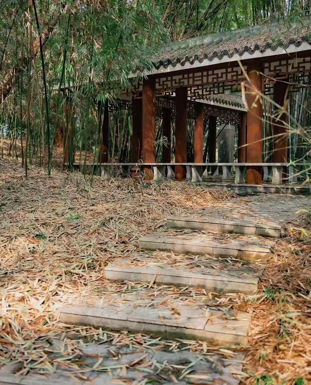 南寧狮山公園拍照秘境分享