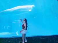 闖入童話海洋館