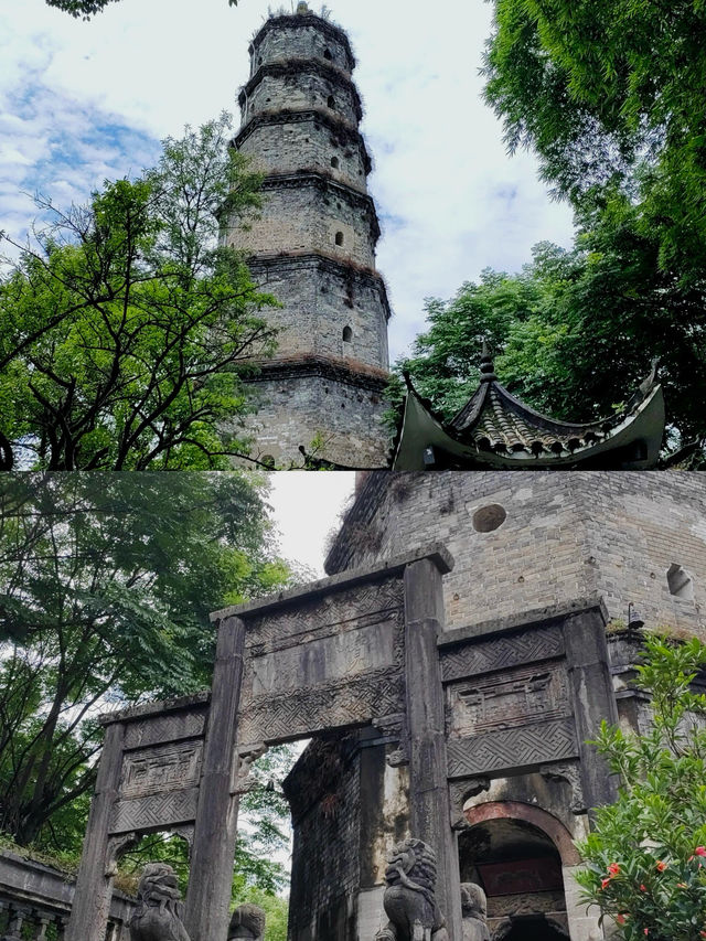 世界硒都·恩施：探索長壽之鄉的養生密碼