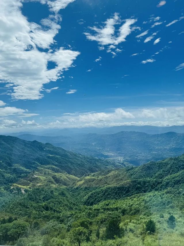 被問到爆嘅夏日避暑勝地！萬洋山真係好值得去