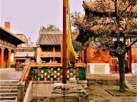 The Living Heart of Tibetan Buddhism in Beijing