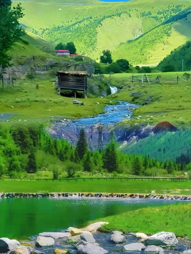 夏日嘅川西，
