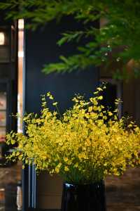早餐，係一場金雞湖畔嘅晨光Fine Dining盛宴