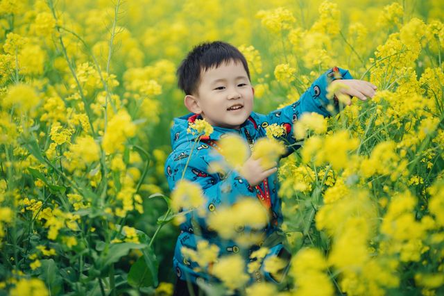 洛陽油菜花季攻略3-4月必打卡嘅花海天堂！