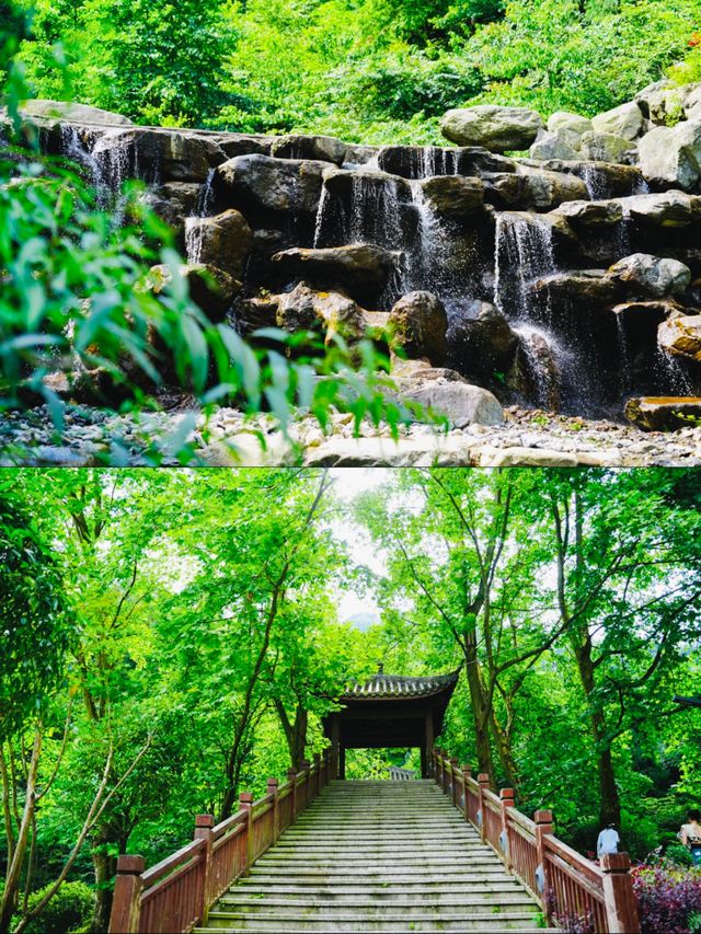 成都周邊1.5小時 | 行山避暑、玩水、睇動物