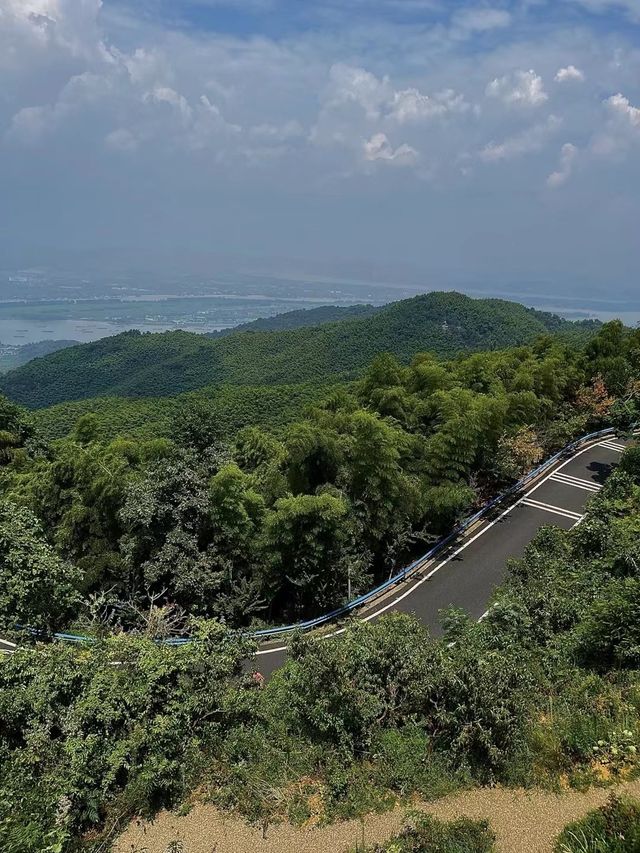 茶園竹林裡的隱世勝地