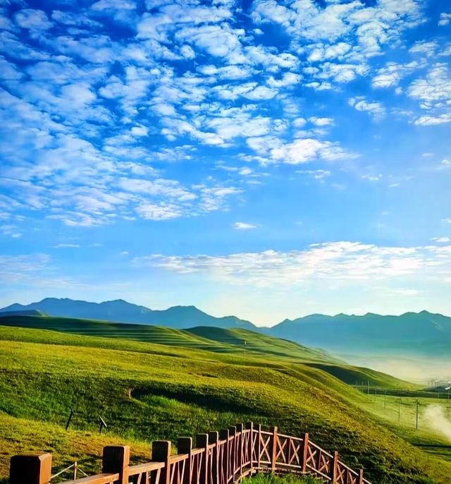 甘南桑科草原全攻略：騎馬觀星探秘藏地