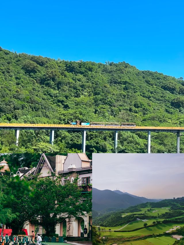《衝！東部華僑城春日大冒險，吸氧、坐小火車、萌寵互動全安排》