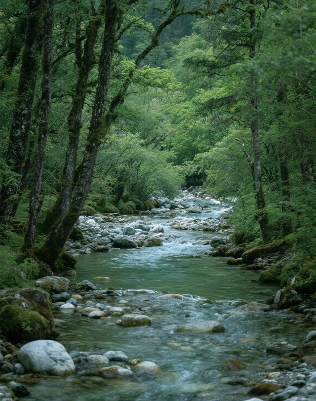 黃龍保姆級攻略｜奔赴一場鈣華瑤池的人間仙境