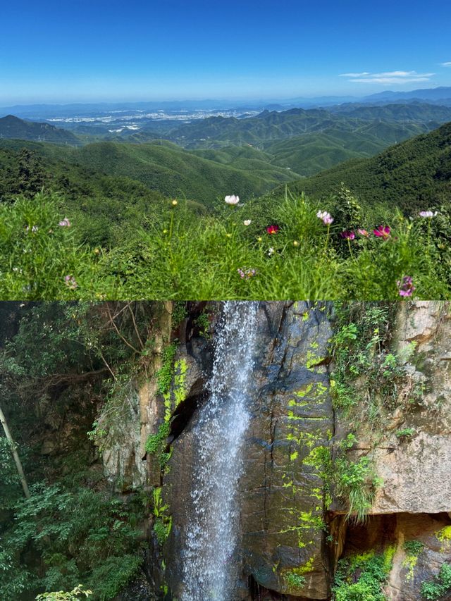 莫干山隱藏玩法大公開！避開人潮獨享整片竹海嘅神仙攻略