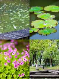 我在溫嶺玩兩天，其它事回去再說