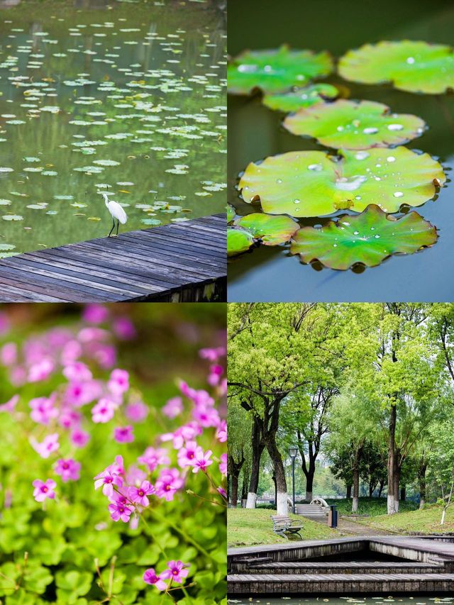 我在溫嶺玩兩天，其它事回去再說