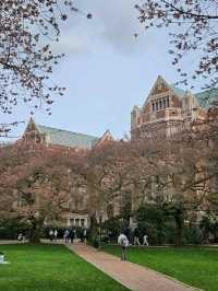 Seattle 2 Days Travel Guide