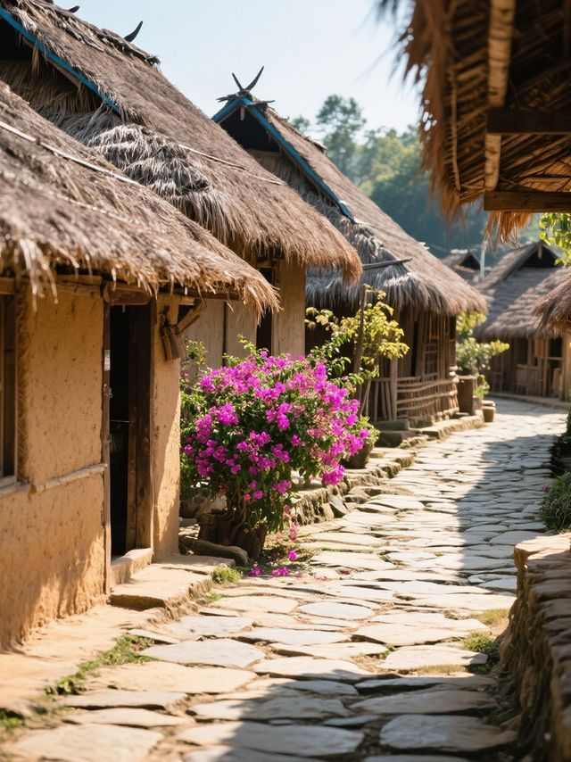 在景邁山住了5天，解鎖90%人不知道的玩法