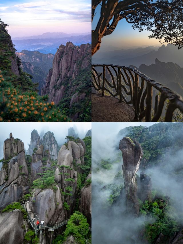 剛爬完三清山，激動到連夜寫攻略！雨中雲海美到窒息