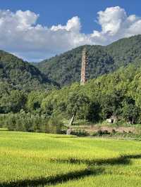 台州這個免費的5A級景區簡直太讚啦|附攻略