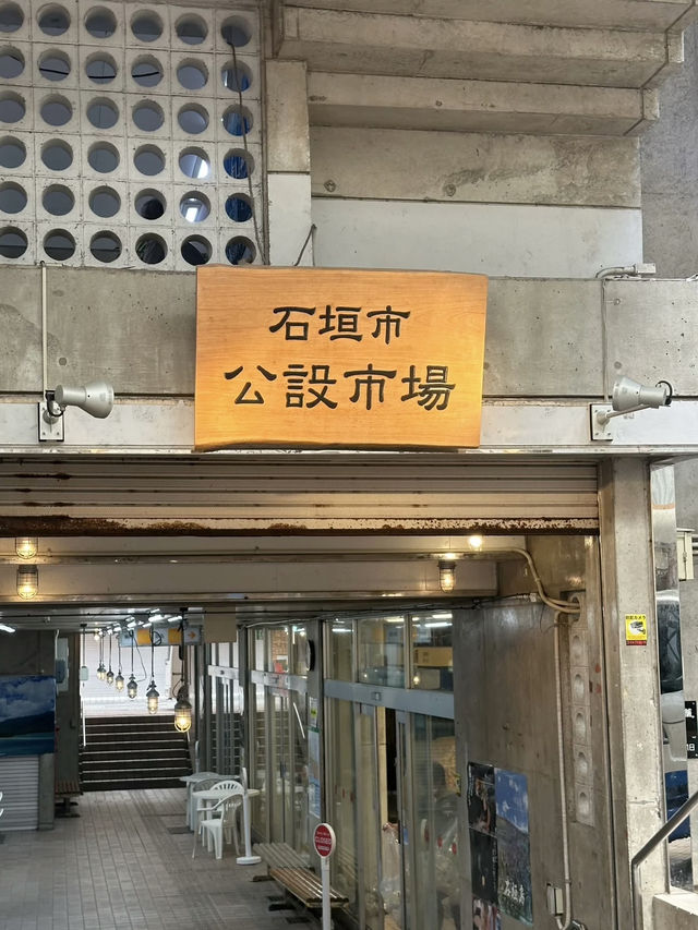 🛳️鼓浪嶼號｜睇世界嘅方式又多咗一種🫧